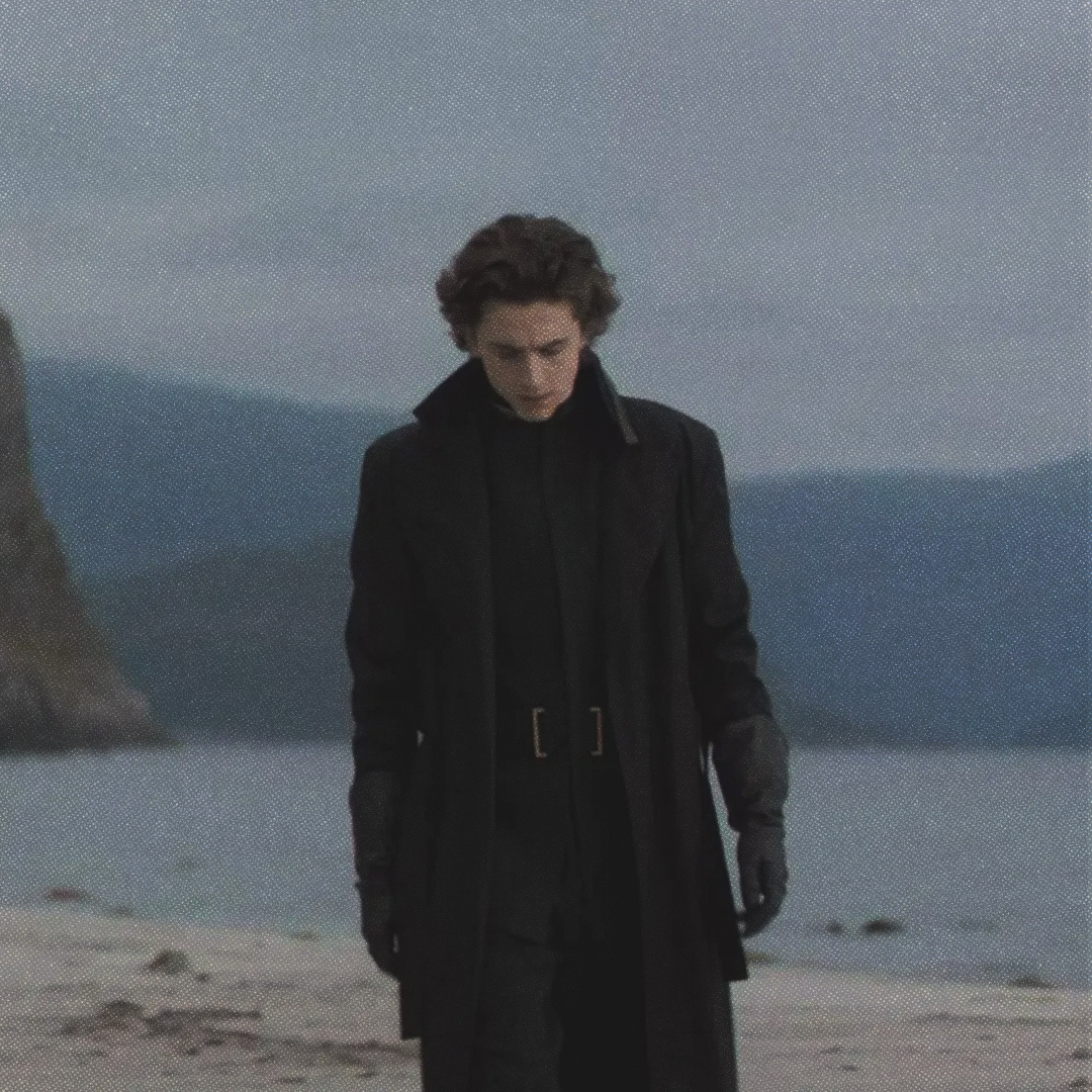 Timothée Chalamet marchant sur le bord d’une plage dans le film Dune (2021).