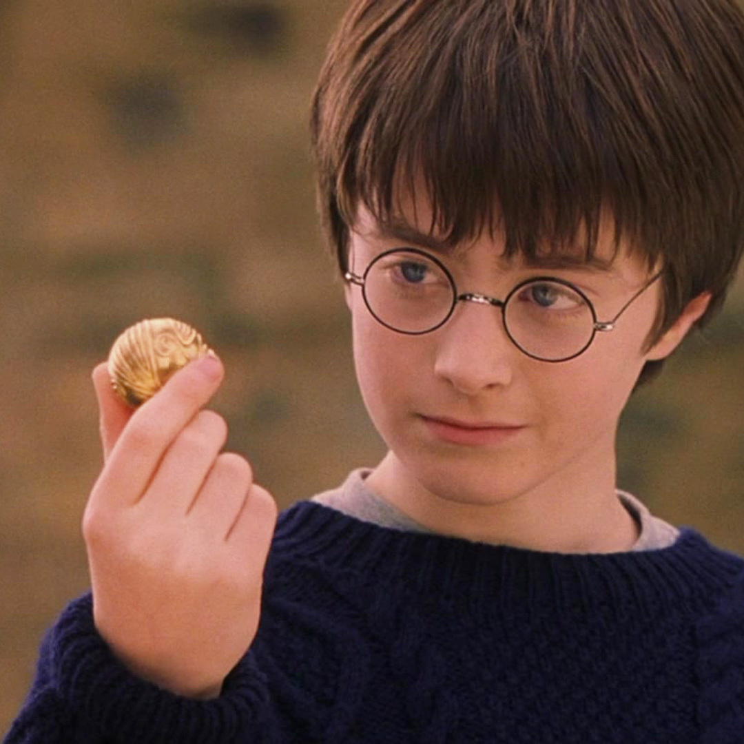 Dans Harry Potter et la pierre philosophale, Harry Potter tient dans sa main, pour la première fois, le vif d'or.