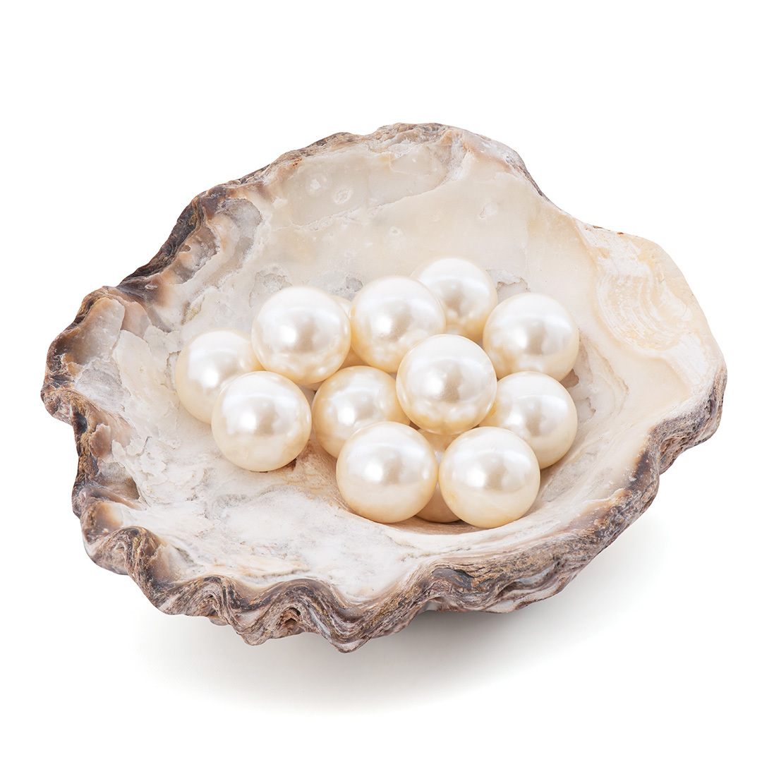 Des perles dans un coquillage sur fond blanc.