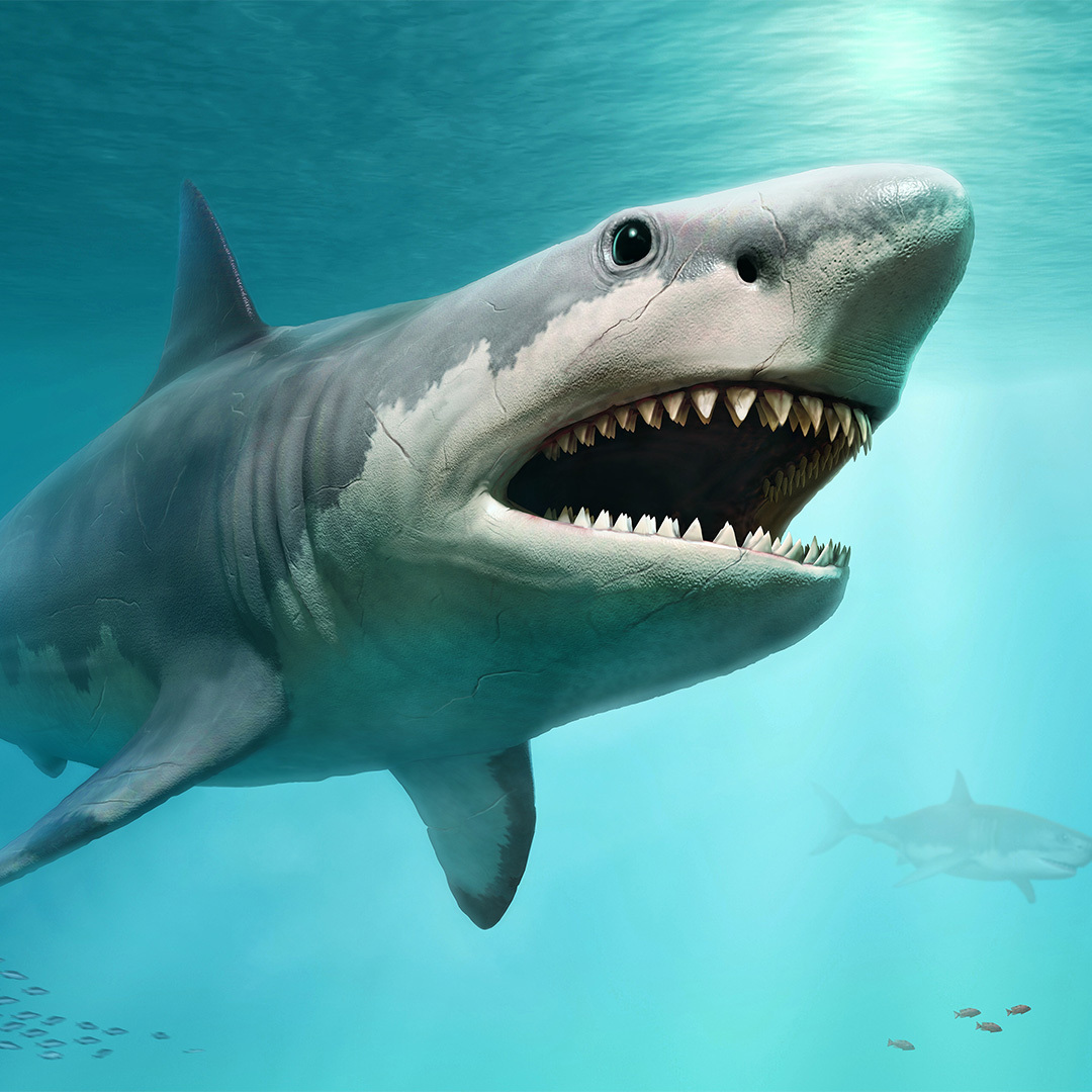 Illustration 3D d'un requin.
