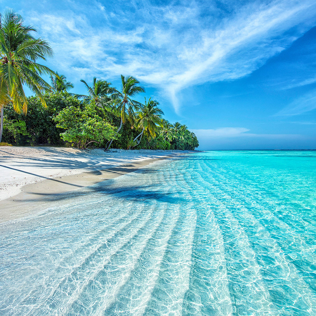 Plage d’eau turquoise et de sable blanc.