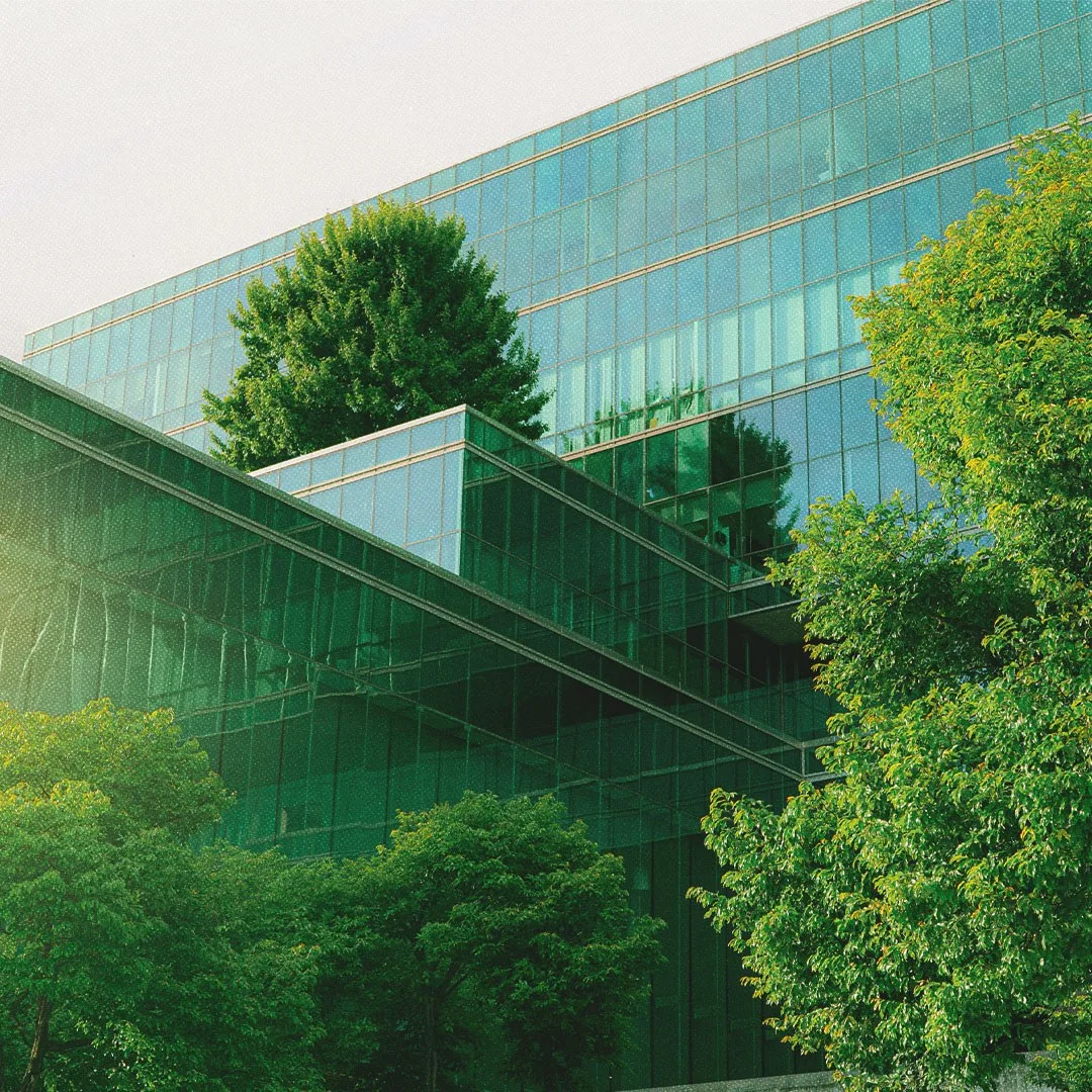 Bâtiment commercial en verre bordé d’arbres en feuilles vertes.