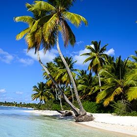 Haïti occupe la partie occidentale de l’île de Cuba.