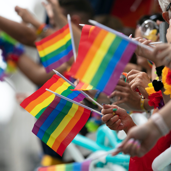 La première organisation pour la défense des LGBTQ+ a été la GLAAD (Gay & Lesbian Alliance Against Defamation), fondée aux États-Unis en 1985.
