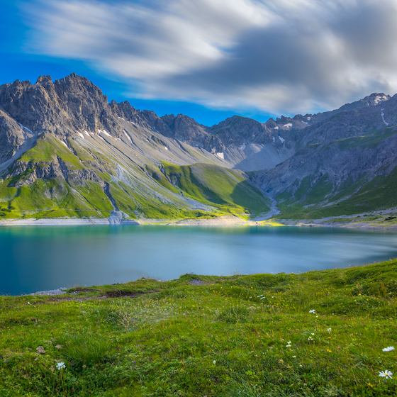 The Alps cover approximately 60% of Switzerland.