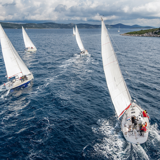-sailing-recognized-by-world-sailing-the-worldwide-governing-body-of-the-sport