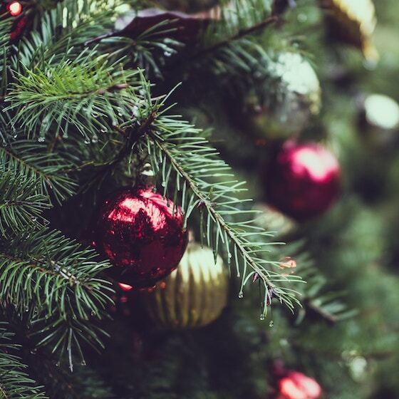 Christmas trees were originally decorated with apples rather than baubles.
