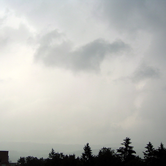 Nimbostratus clouds often precede bad weather.
