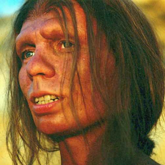 Neanderthals lived at the same time as Homo sapiens.