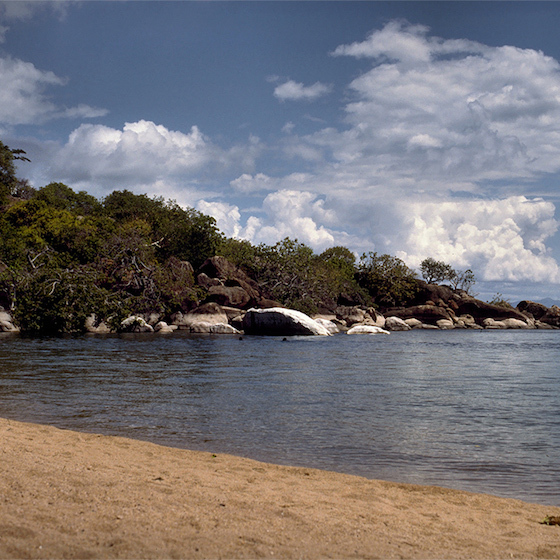 L’explorateur David Livingstone a découvert le lac Malawi en Afrique.