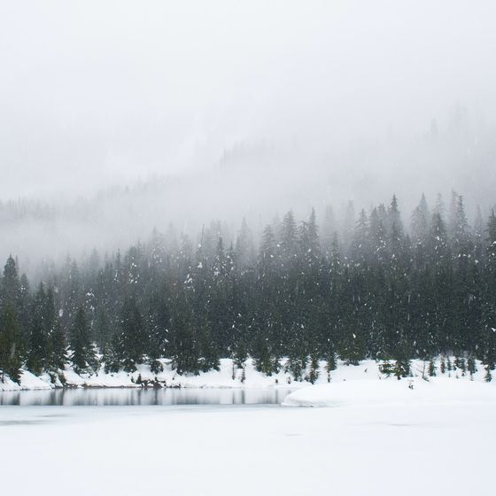 The largest snowflakes are usually observed at about 0°C.