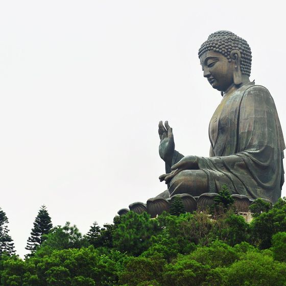 Nearly half of all Buddhists live in China.