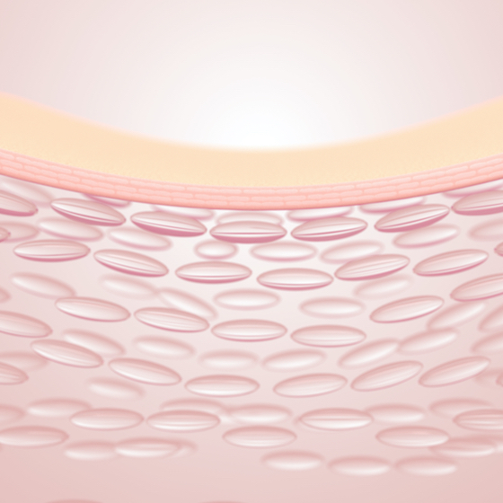 Les kératinocytes sont les principales cellules de l’épiderme.