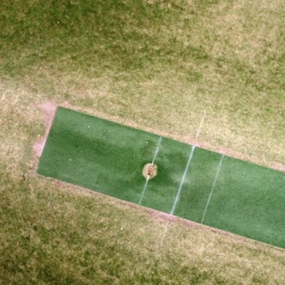 e-cricket-a-ete-determinee-au-13e-siecle
