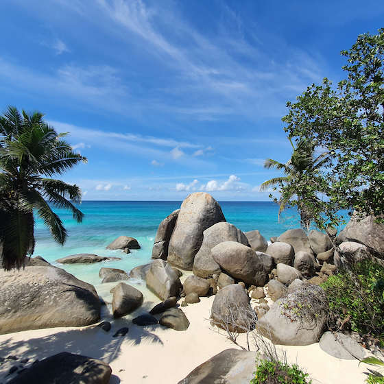Topographically, the islands that make up Seychelles are relatively similar. 