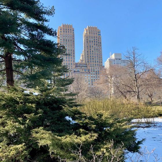 environ-15-du-territoire-de-new-york-est-consacre-a-des-parcs-publics