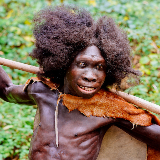 Homo erectus is usually considered the first species to have left Africa.