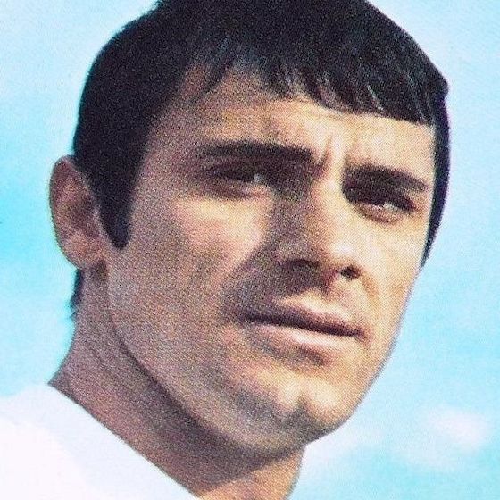 Josip Skoblar holds the record for the greatest number of first-division goals scored in a single season in France.