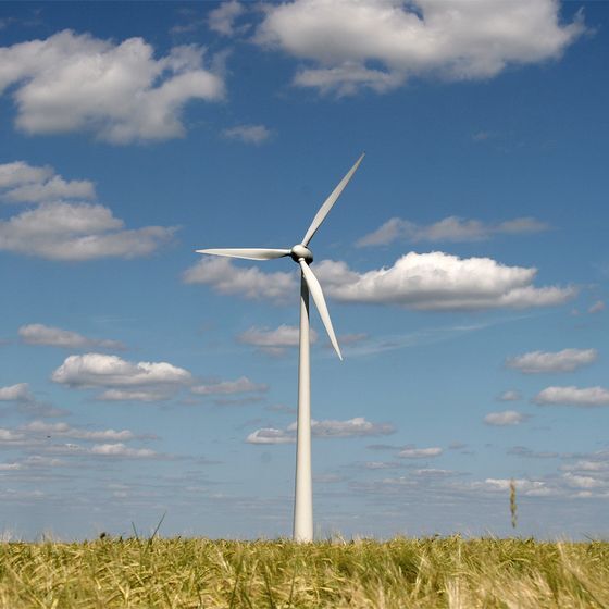 Wind turbine blades turn 10 to 20 times per minute, on average.