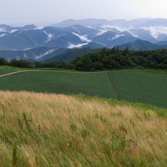 La chaîne montagneuse Taebaek traverse la Corée du Sud d’est en ouest.