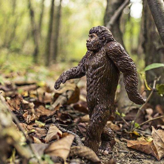 Chasing a mythical sasquatch is against the law in Skamania County, Washington.