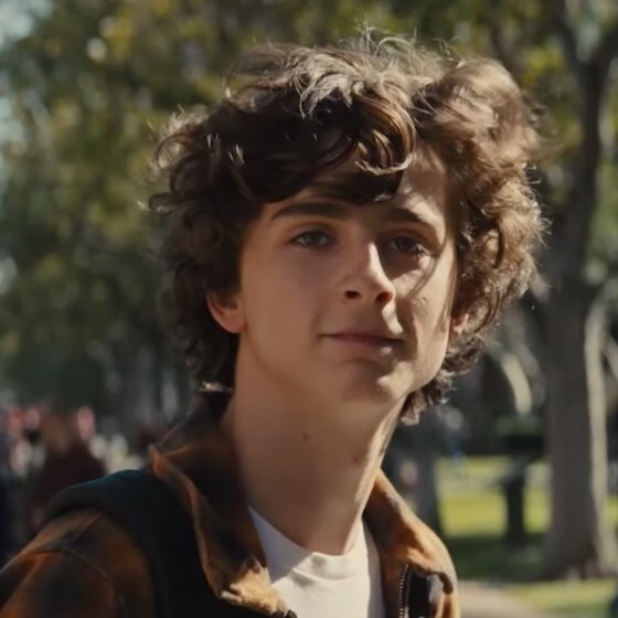 Chalamet was nominated for a BAFTA in 2019 for his role in Beautiful Boy.