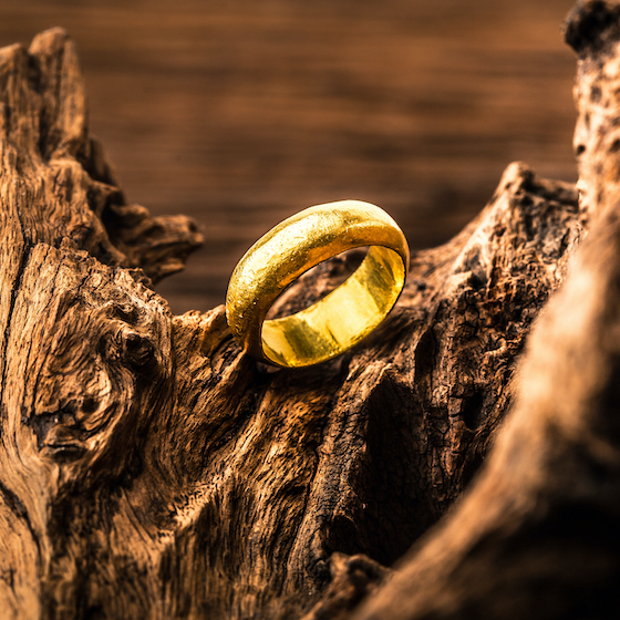 The One Ring is referred to as the “Light Destroyer” when presented at the Council of Elrond.