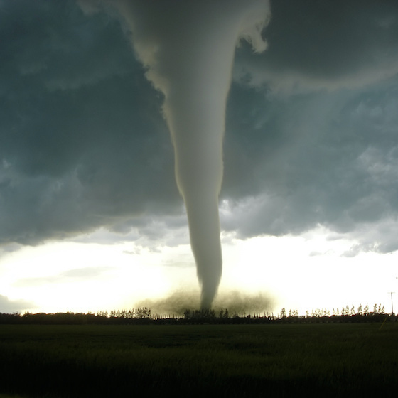 Un buisson est le nuage de débris et de poussière soulevé du sol par une tornade.
