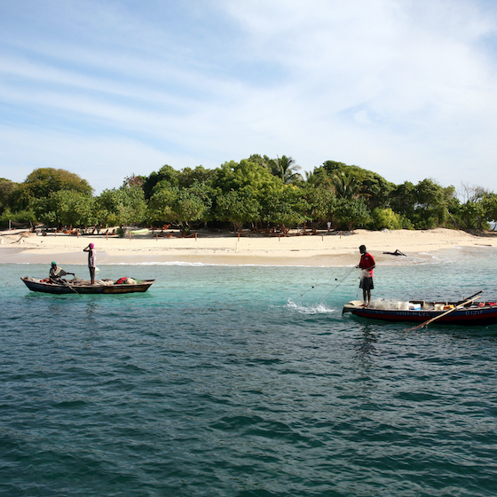 Haïti est entouré d’îles, notamment les îles Gonâve, Grand Caye et Vache, qui sont toutes administrées par les États-Unis.