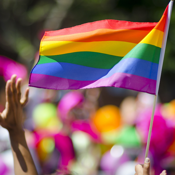 The rainbow flag was designed in the 1960s as a symbol of pride for the community. 