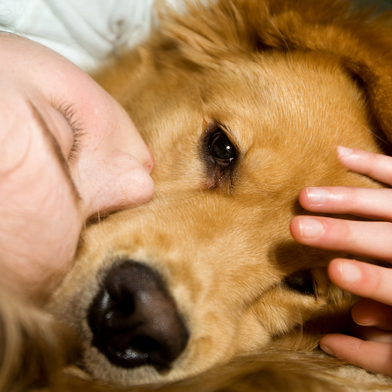 Those snuggles from your pup when you’re sad aren’t indicative of their empathy for how you’re feeling.