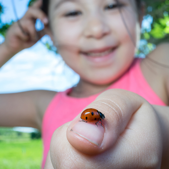 « La fillette aime les coccinnelles » ne contient pas de faute. Les « l », les « t », les « n » et les « c » sont justes.
