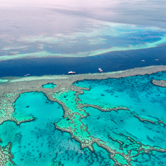 La Grande barrière de corail est la plus grande structure vivante sur Terre.