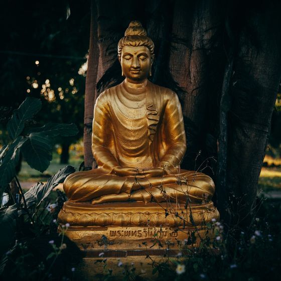 Bouddha est un mot sanskrit qui signifie « Grand maître ».