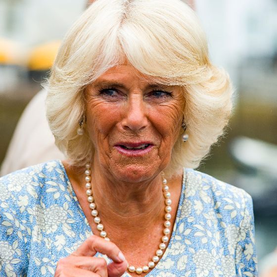 Camilla Parker Bowles, la femme du prince Charles, n’a pas de titre en raison de son divorce, survenu avant son entrée dans la famille royale. 