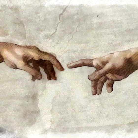 The theory of evolution is widely rejected by Americans.