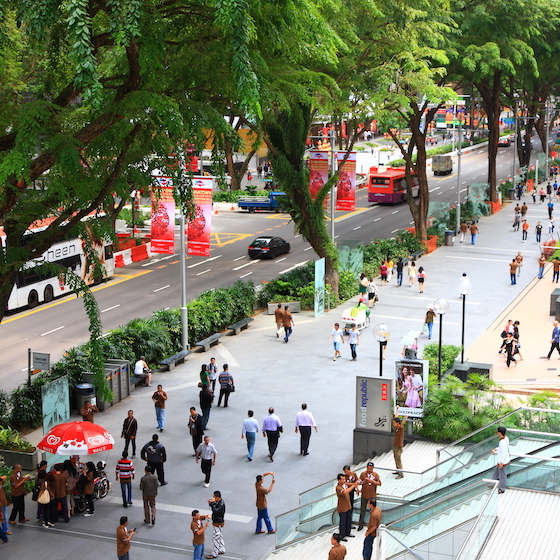 Aujourd’hui une destination célèbre pour le magasinage, la route d’Orchard Road à Singapour était autrefois bordée de vergers.
