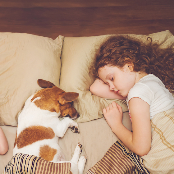 Your dog has no idea whether you’re sick or healthy.