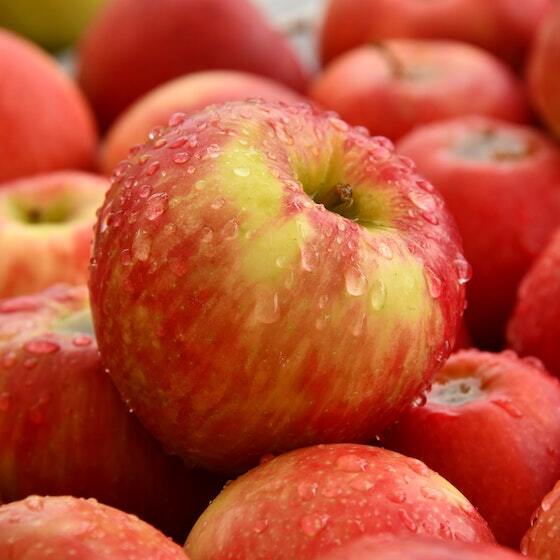 A ripe apple usually has 5 loculi.