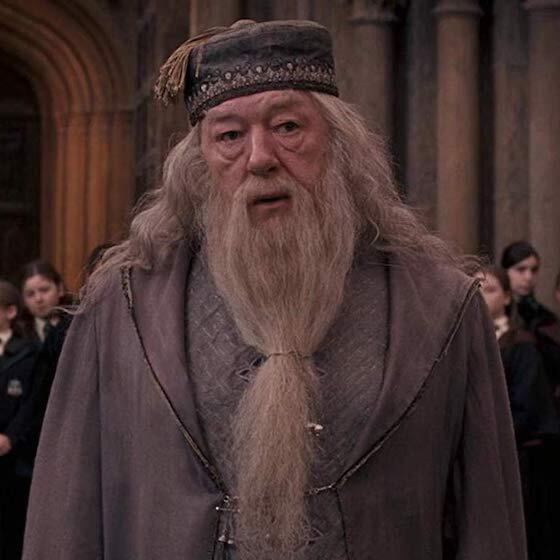 Le nom complet d’Albus Dumbledore est Albus Perceval Wilfred Ryan Dumbledore.