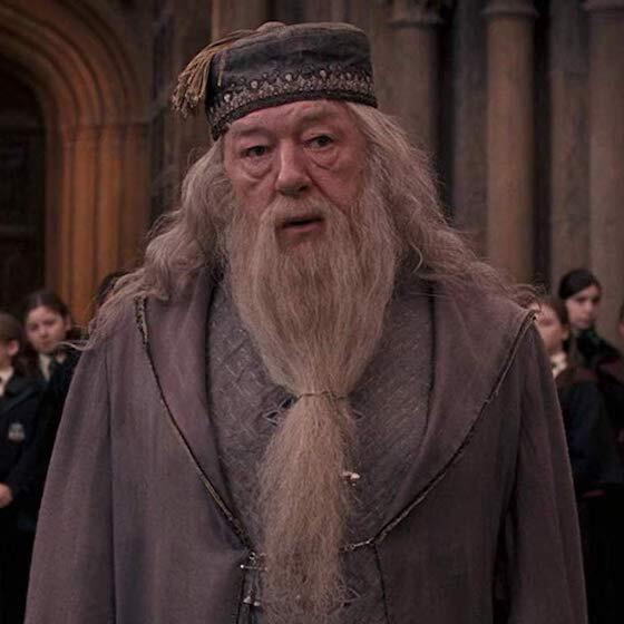 Albus Dumbledore's full name is Albus Percival Wilfred Ryan Dumbledore.