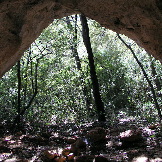 Up to 50 prehistoric people could live in a single cave.