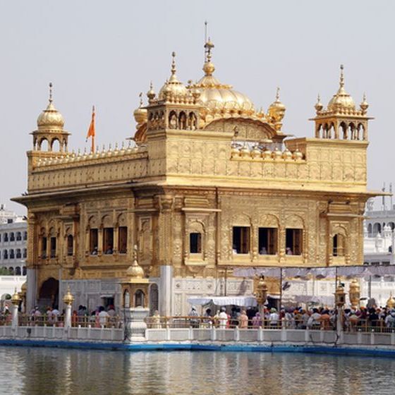 r-sahib-en-inde-de-toucher-l-eau-de-son-bassin