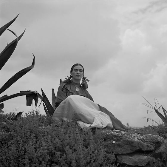 De son vivant, Frida Kahlo n’a jamais exposé de toiles aux États-Unis.