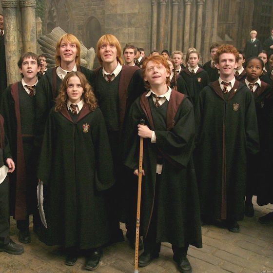 You must have courage, cunning, skill, and determination to be in Gryffindor House.