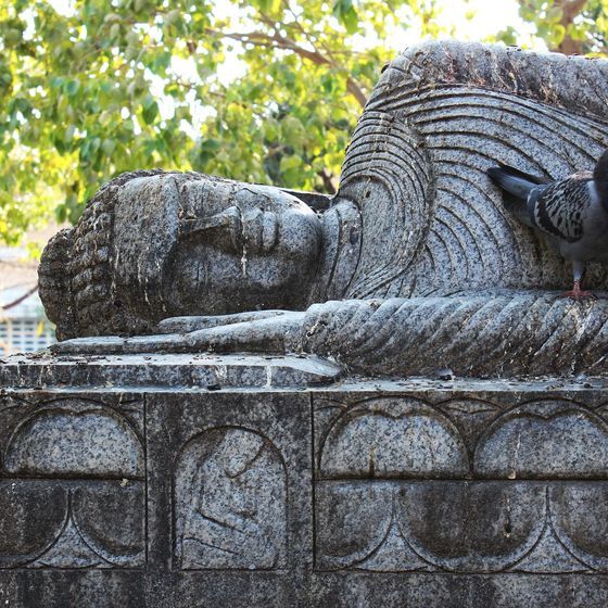 When a Buddhist succeeds in completely freeing themselves from suffering, they are said to have reached nirvana.