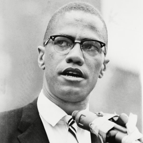 Malcolm X worked closely with Martin Luther King Jr. in the fight for civil rights.