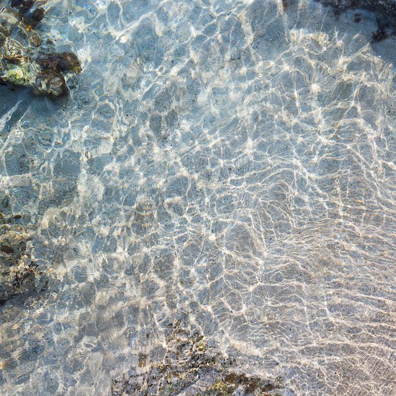 The seabed is rich in silver deposits.