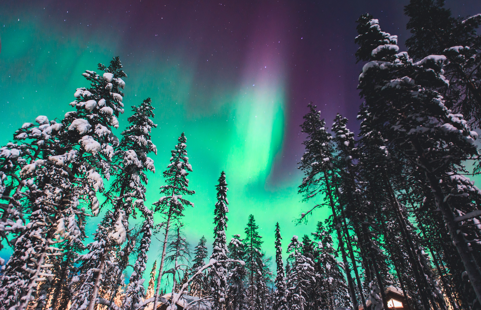 Earth is the only planet that has polar lights.