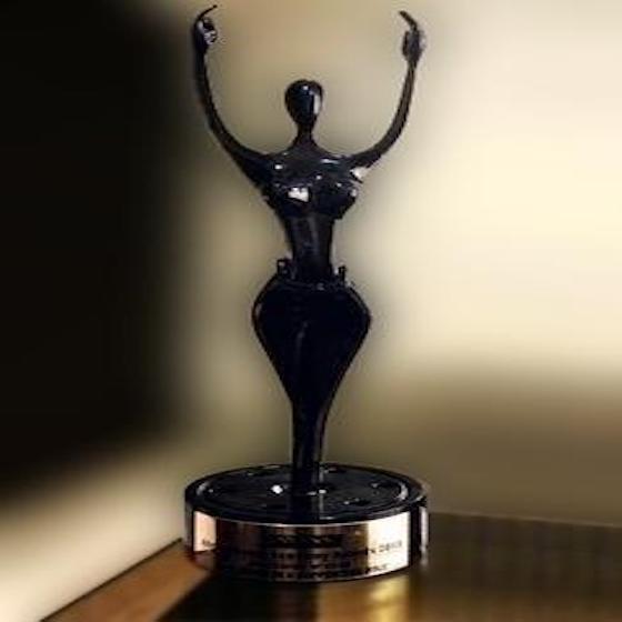 There are 24 categories at the Africa Movie Academy Awards. 